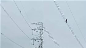 高壓電,黑影,鳥,工程人員(翻攝自 爆廢公社二館)