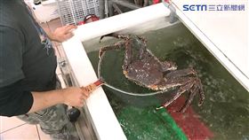 +0效應!餐廳上游水產批發 谷底反彈業績飆