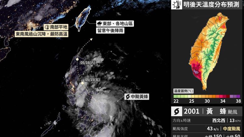 黃蜂來勢洶　地方專家曝這兩地恐高溫