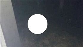 爆廢公社,女鬼,吃人,活春宮