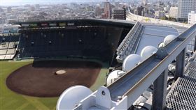 ▲日本夏季甲子園也傾向取消。（圖／翻攝自阪神甲子園球場推特）