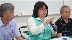 民進黨立委王美惠。（圖／翻攝自王美惠臉書）