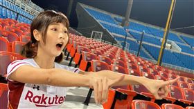 今年桃園球場新設立的「Rock Seat」座位。（圖／樂天桃猿提供）