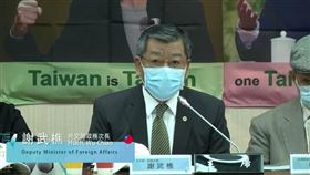 謝武樵,外交部,政務次長（圖／翻攝自台灣聯合國協進會臉書直播）
