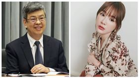 陳建仁,陳沂,禮遇,副總統,耍廢（組合圖／總統府提供、翻攝自陳沂臉書）