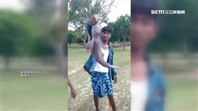 瀕危恆河豚重現印度 慘遭民眾虐待（圖／翻攝自Kry Svz YouTube）