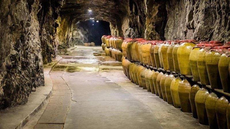 酒咖快來！馬祖品酩之旅5／28出發