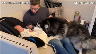 稱職毛保母　暖當新生兒靠枕不喊苦！