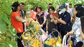 苗栗造橋南瓜綠龍隧道迎賓苗栗縣造橋鄉南瓜節產業文化活動登場，長250公尺的南瓜綠龍隧道展出各式造型觀賞南瓜，並規劃創意料理供品嚐，歡迎民眾造訪。（苗栗縣政府提供）中央社記者管瑞平傳真　109年5月15日