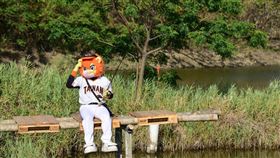 ▲統一獅吉祥物萊恩到漁光島找魚頭君。（圖／統一獅球團提供）