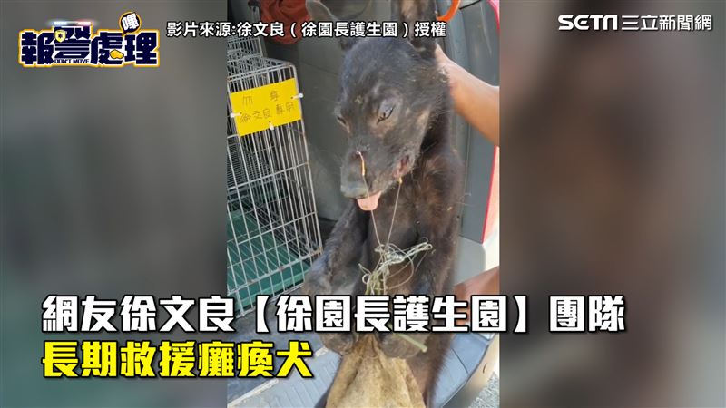 浪浪遭8個魚鉤纏身　在草叢動彈不得