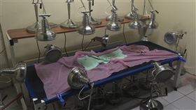 養生,阿嬤,脊椎側彎,購買,烤身體,健康,50幾萬