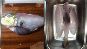 河豚,殺魚,劇毒,烹飪,內臟,魚