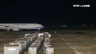 困馬爾地夫逾月　台人樂喊：終於回家