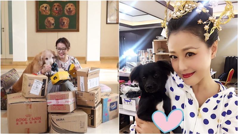 最美周芷若上億豪宅曝　送愛犬專屬房