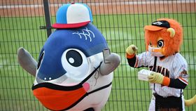 萊恩送給魚頭君新手機。（圖／統一獅提供）