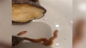 3000元大餐「鮑魚爬出2隻蟲」　網友驚：這2隻更貴
圖／翻攝自微博