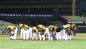 中信兄弟。（圖／中信兄弟提供）