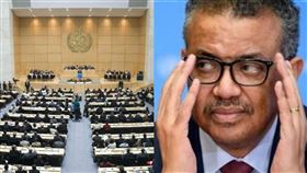 WHA，WHO譚德塞。（圖／翻攝自推特）