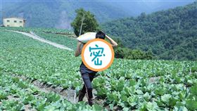 希望娛樂提供 前男團G.T.M團員潘君侖 身上積蓄僅剩回家鄉車錢 返家務農 形容：爸媽會對我失望責怪我嗎？