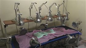 烤身體,機器,全裸,脊椎側彎,詐騙(翻攝自 PTT)