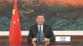 習近平說話了！「中國疫情公開、透明」讚譚德塞有重大貢獻