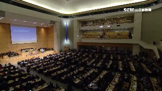 WHA視訊品質差…挺台竟直接被打斷