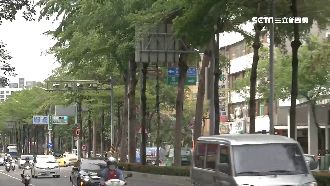 韓市府拆橋填水泥植樹　遭批樹丟棺材