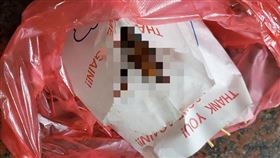 鴨舌頭長的很像蟑螂（圖／翻攝自爆廢公社臉書）