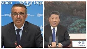 習近平於WHA開幕致詞大讚譚德塞。（組合圖／翻攝自WHO臉書直播畫面）