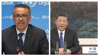 習近平WHA護航譚德塞　陳時中酸…