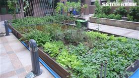 住頂樓夏天又熱又悶？　新北市「清涼屋頂」最多補助20萬。（圖／新北市環保局提供）