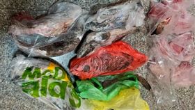  送魚,冰箱,反胃,親戚(翻攝自 爆怨公社)