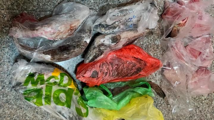 親戚天天送魚「冰箱塞爆」她吃到反胃