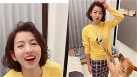 米可白（翻攝自臉書）