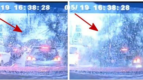 微雨路樹竟倒塌　目擊前車被「吞噬」