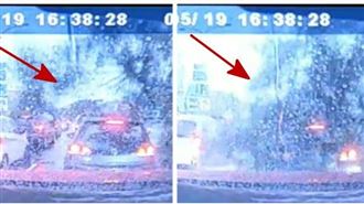 微雨路樹竟倒塌　目擊前車被「吞噬」