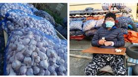 蒜頭　謝俊偉　雲林（圖／翻攝自謝俊偉臉書）