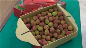 玉荷包（圖／記者許書萓攝影）