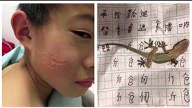 壁虎,趴睡,作業本,印記,