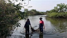 人工溼地遭棄置大量垃圾　台東環保局將加強取締台東縣環保局表示，近在太平溪人工溼地發現大量垃圾，下水清除時竟然發現還有漁網，造成水中生物受傷或死亡，環保局將加強巡守取締，也呼籲民眾勇於檢舉棄置垃圾者。（台東縣政府提供）中央社記者盧太城台東傳真　109年5月20日