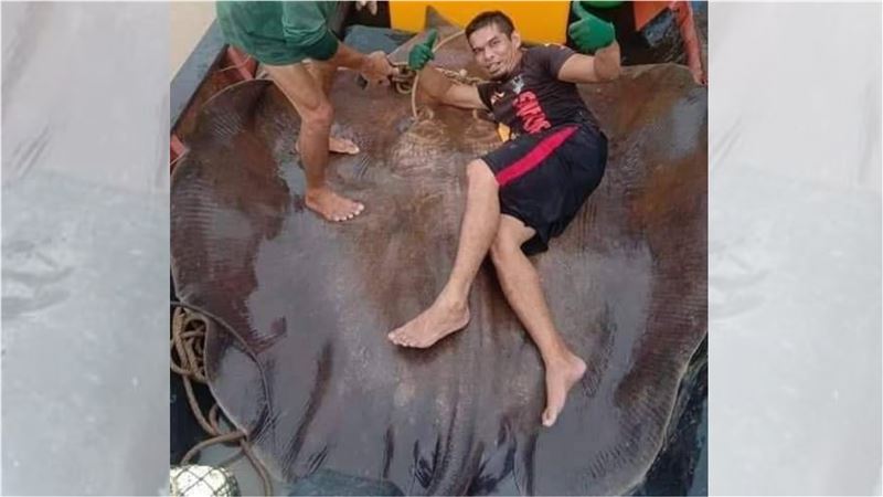 他抓280kg魟魚炫耀　網一看氣炸