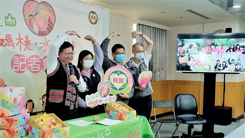 疫情影響　拉拉山媽媽桃網路行銷為主