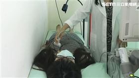 武漢肺炎,醫院,烏日林新醫院,乳房外科,吳玉婷,乳癌
圖／烏日林新醫院提供