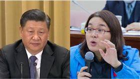 習近平、陳玉珍（組合圖／資料照、翻攝自陳玉珍臉書）