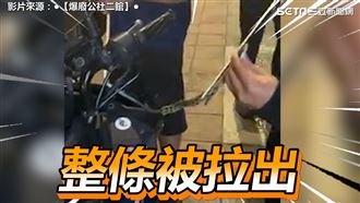 見蛇躲進愛車　求救消防隊拉出一大條