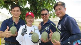 嘉義極光黃金泡菜1