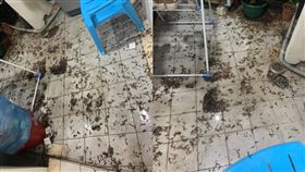 南部暴雨！他家湧上千飛蟻（圖／翻攝自台南爆料公社臉書）