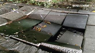 梅雨彈狂襲高雄　人行道地磚整排塌陷