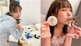 寫真女星荒川真衣養昆蟲吃昆蟲 圖/IG